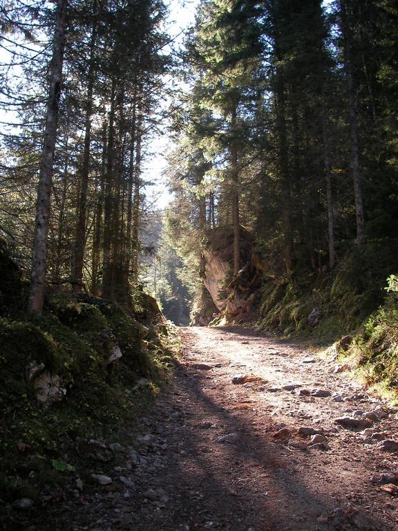 Gaestehaus Attenhauser Unterammergau Kültér fotó